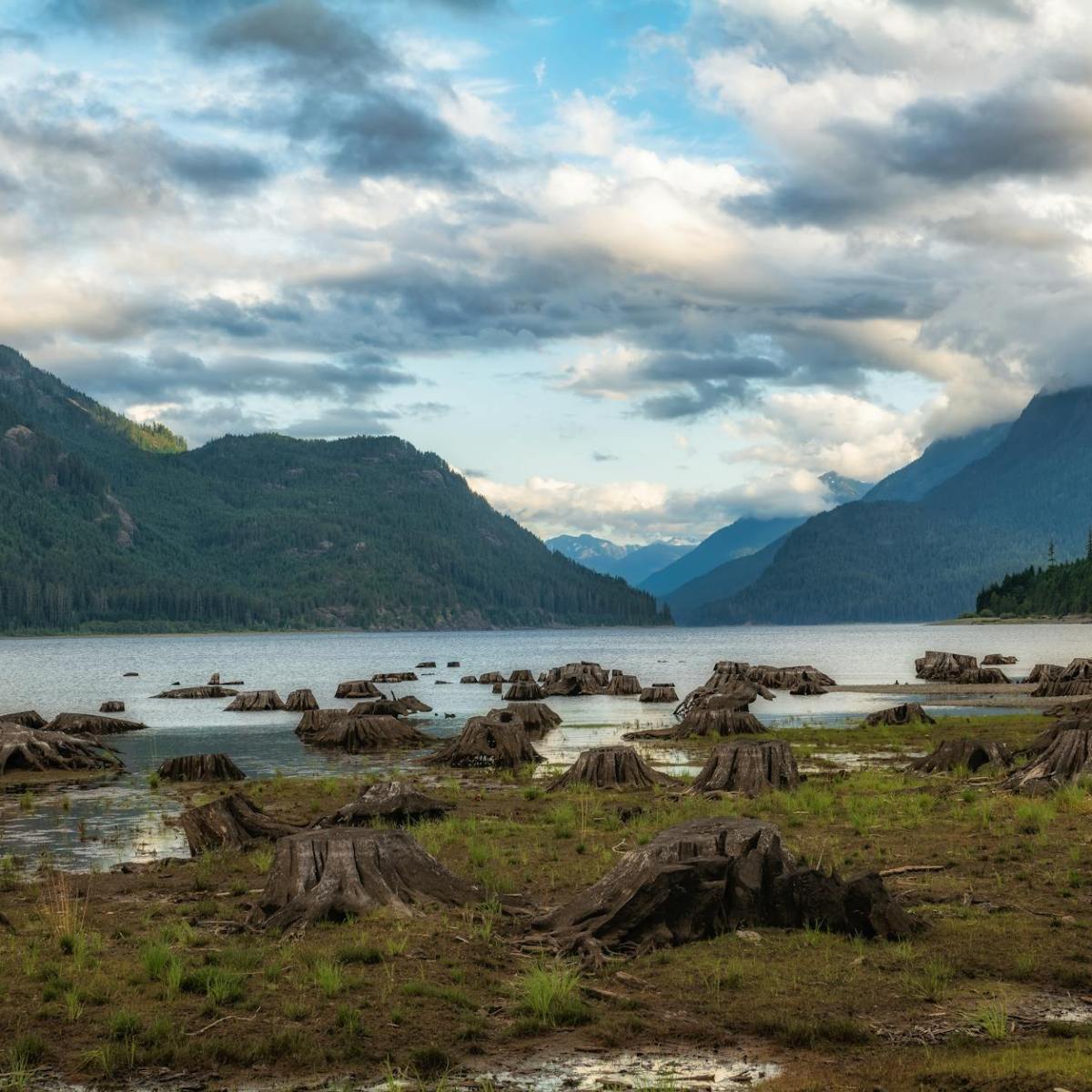 Moray Council’s Campervan Consultation for Sustainable&nbsp;Tourism